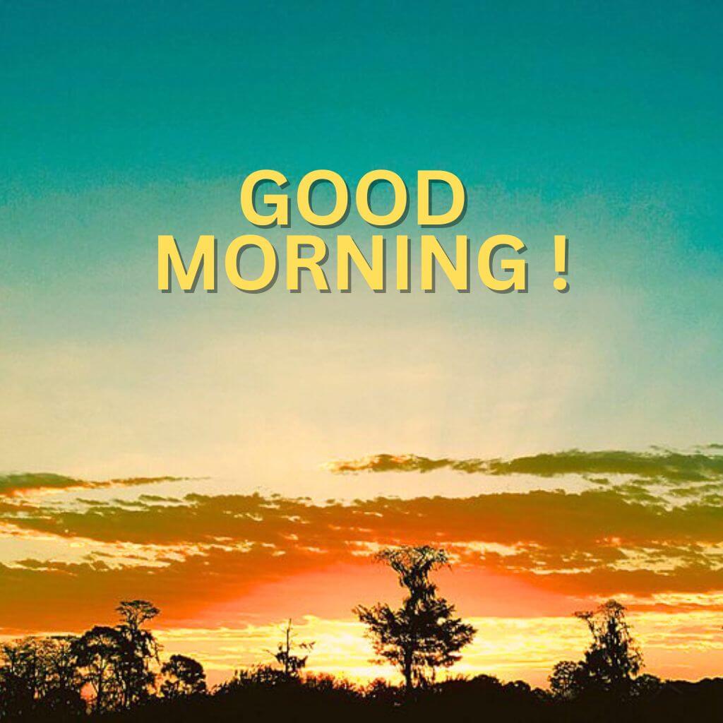 good morning all Wallpaper Images Wallpaper Pictures 