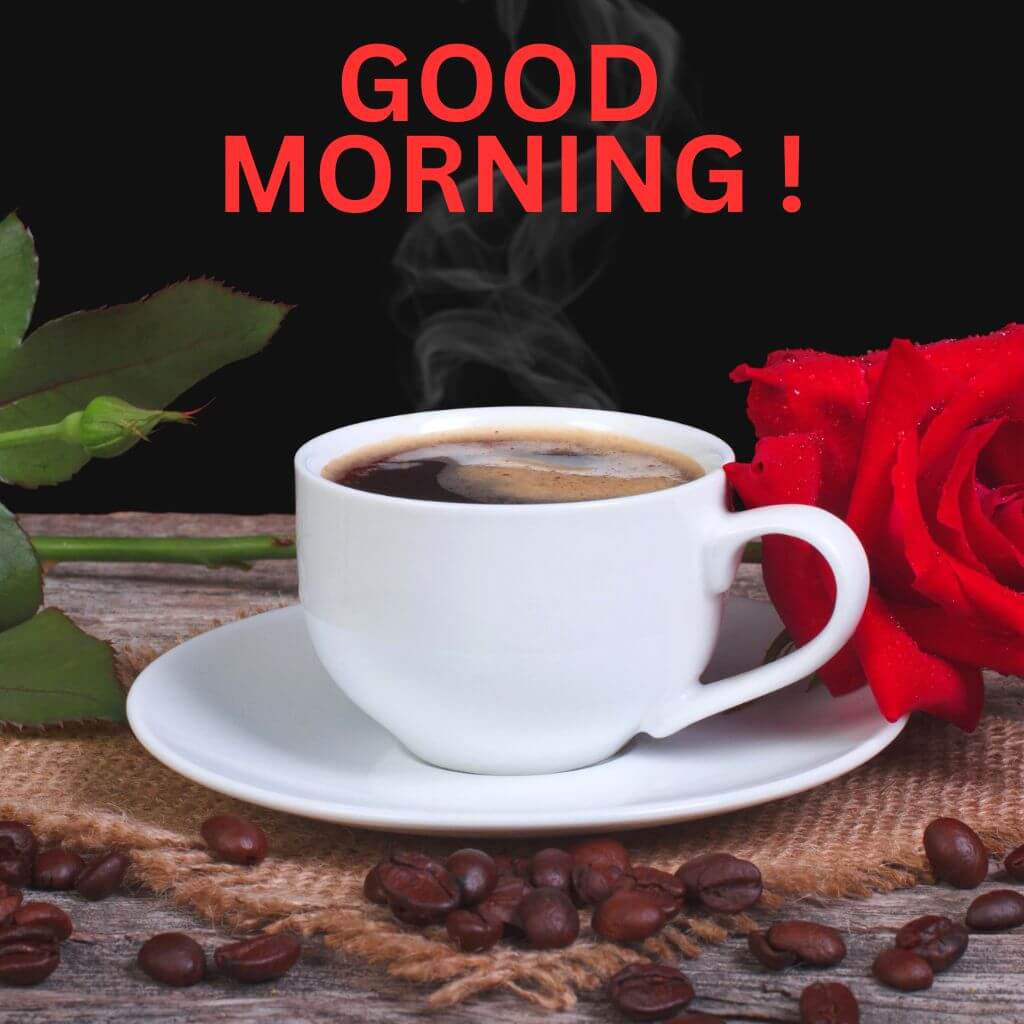 good morning coffee and rose Images Wallpaper Pics New Download 