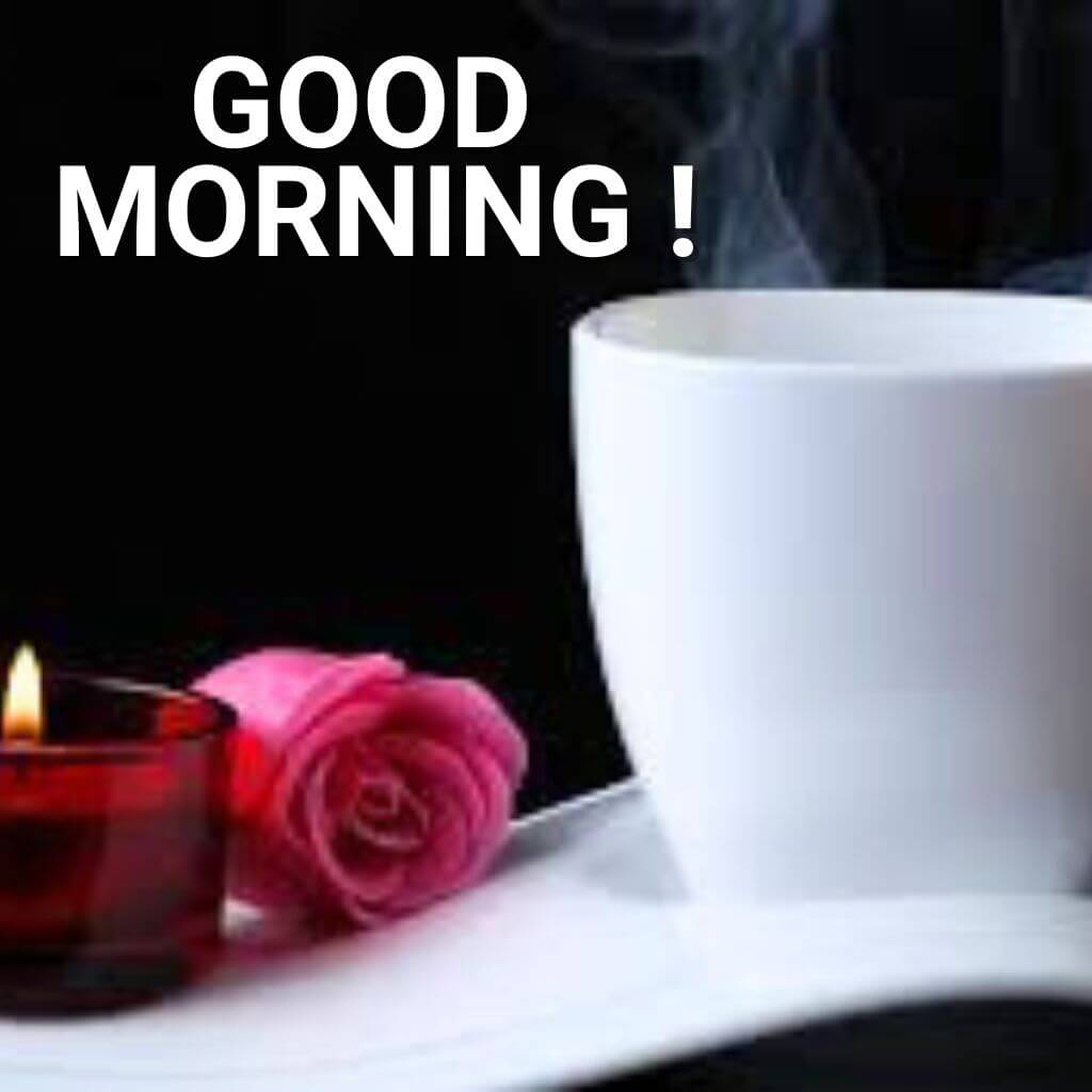 good morning coffee and rose Photo HD