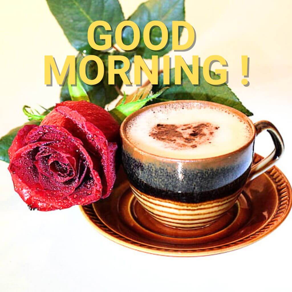 good morning coffee and rose Wallpaper Pics Download 2023
