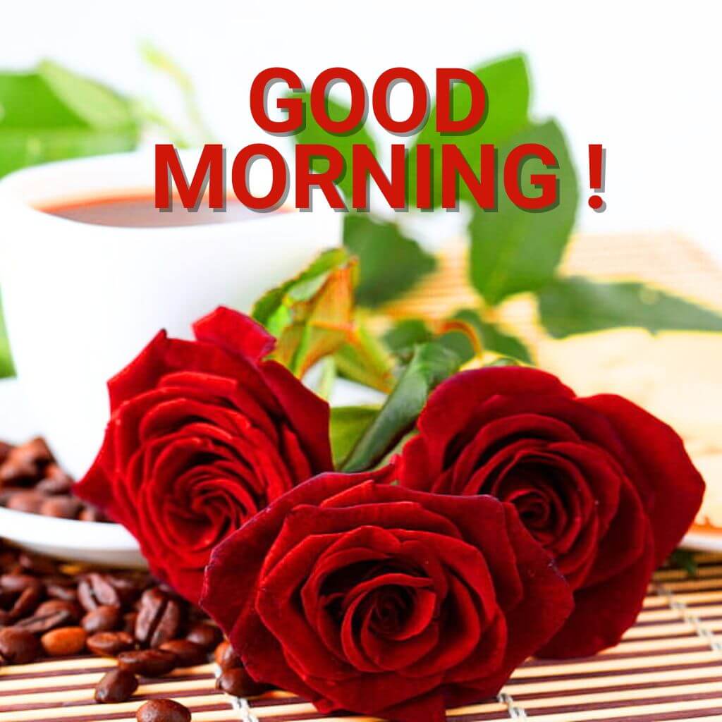 good morning coffee and rose Wallpaper for Girlfriend