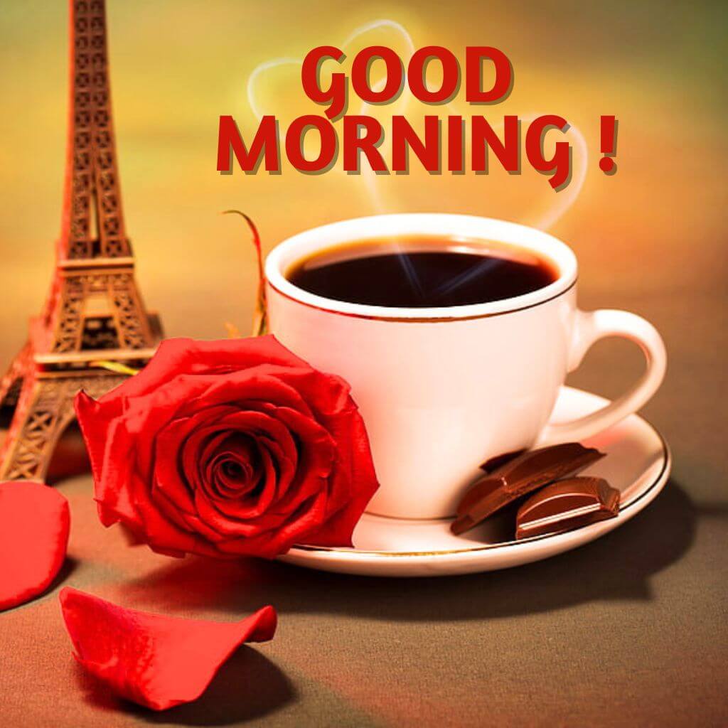 good morning coffee and rose Wallpaper pics Pics Pictures HD