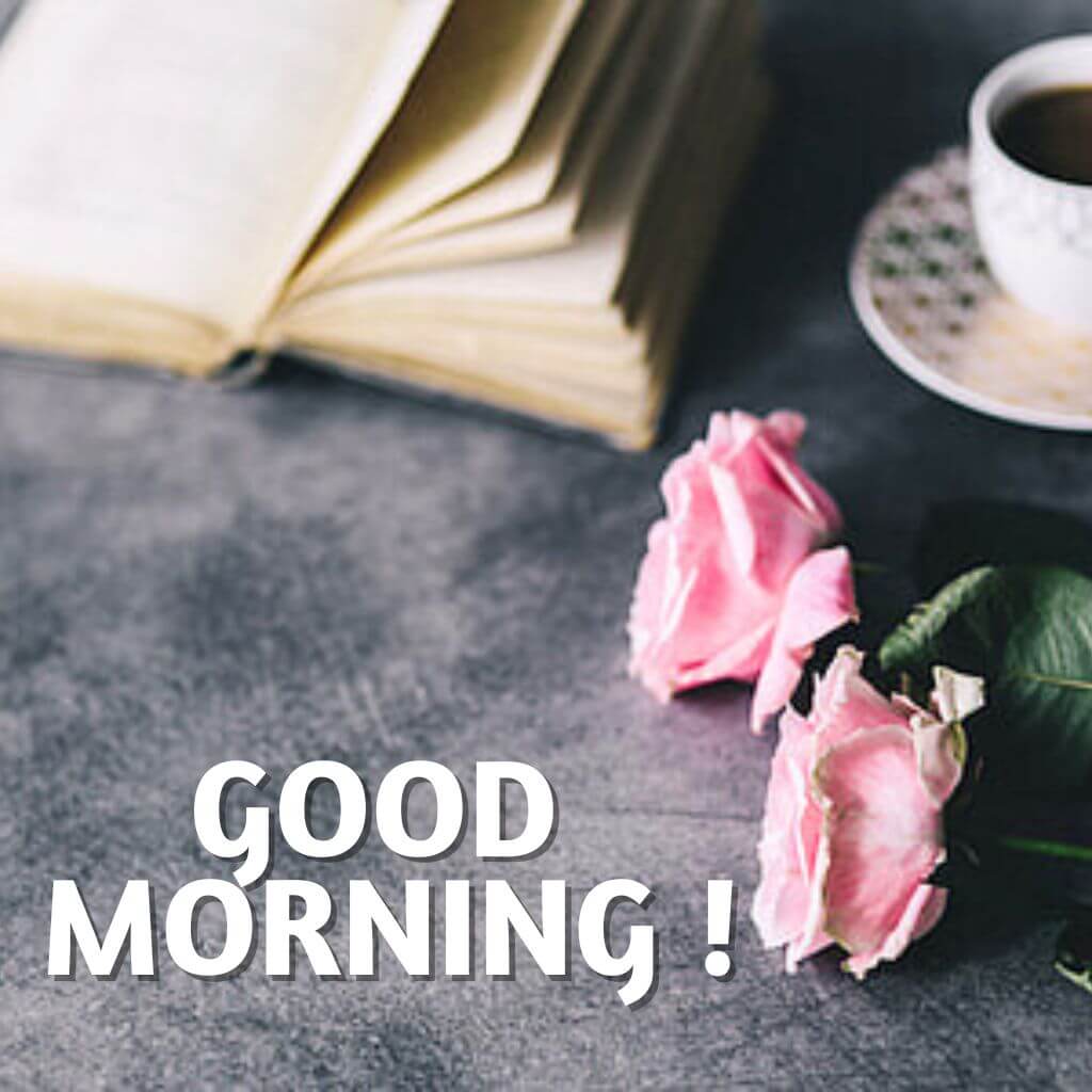 good morning coffee and rose photo HD Wallpaper Pics New Download 