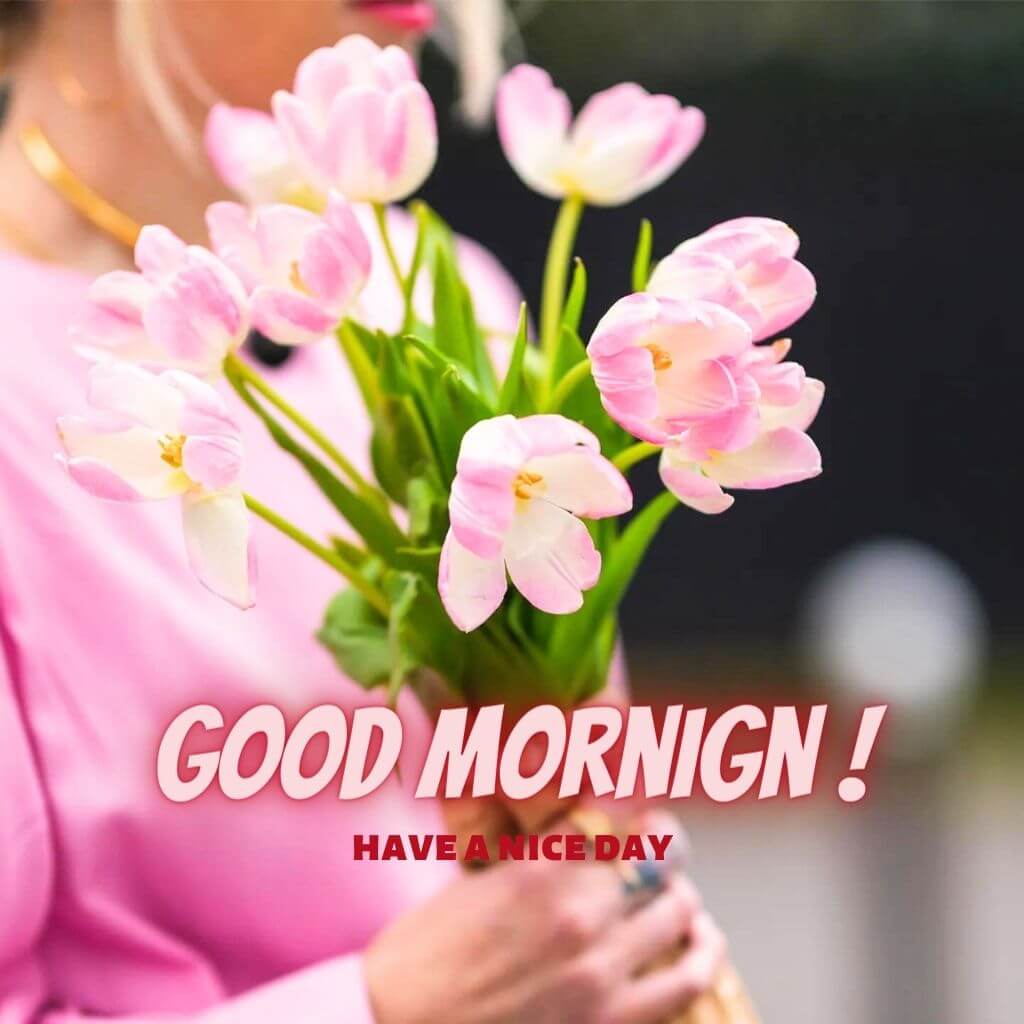 good morning god bless you Images Wallpaper Pictures Free for Friend