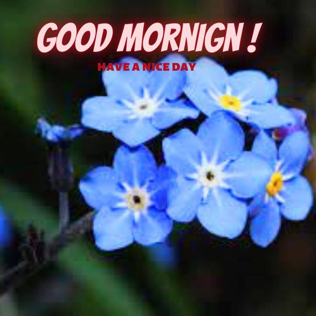 good morning god bless you Pics New Download