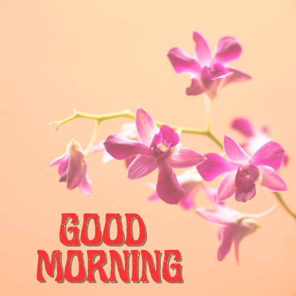 good morning have a blessed day Pics Free Download