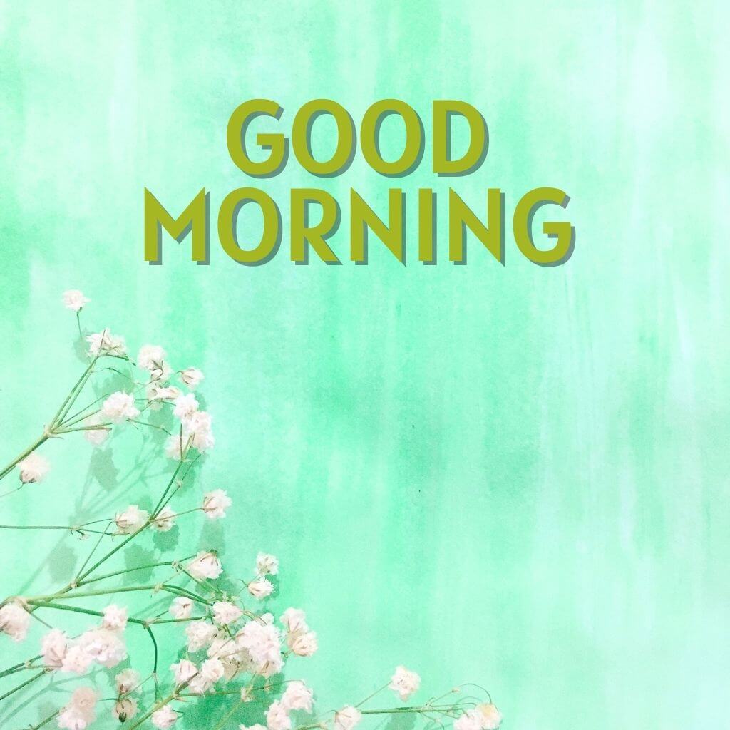 good morning have a blessed day Wallpaper New Download