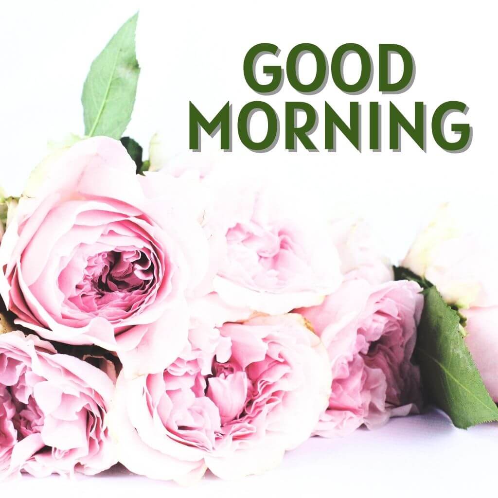 good morning have a blessed day Wallpaper Pics Download for Facebook