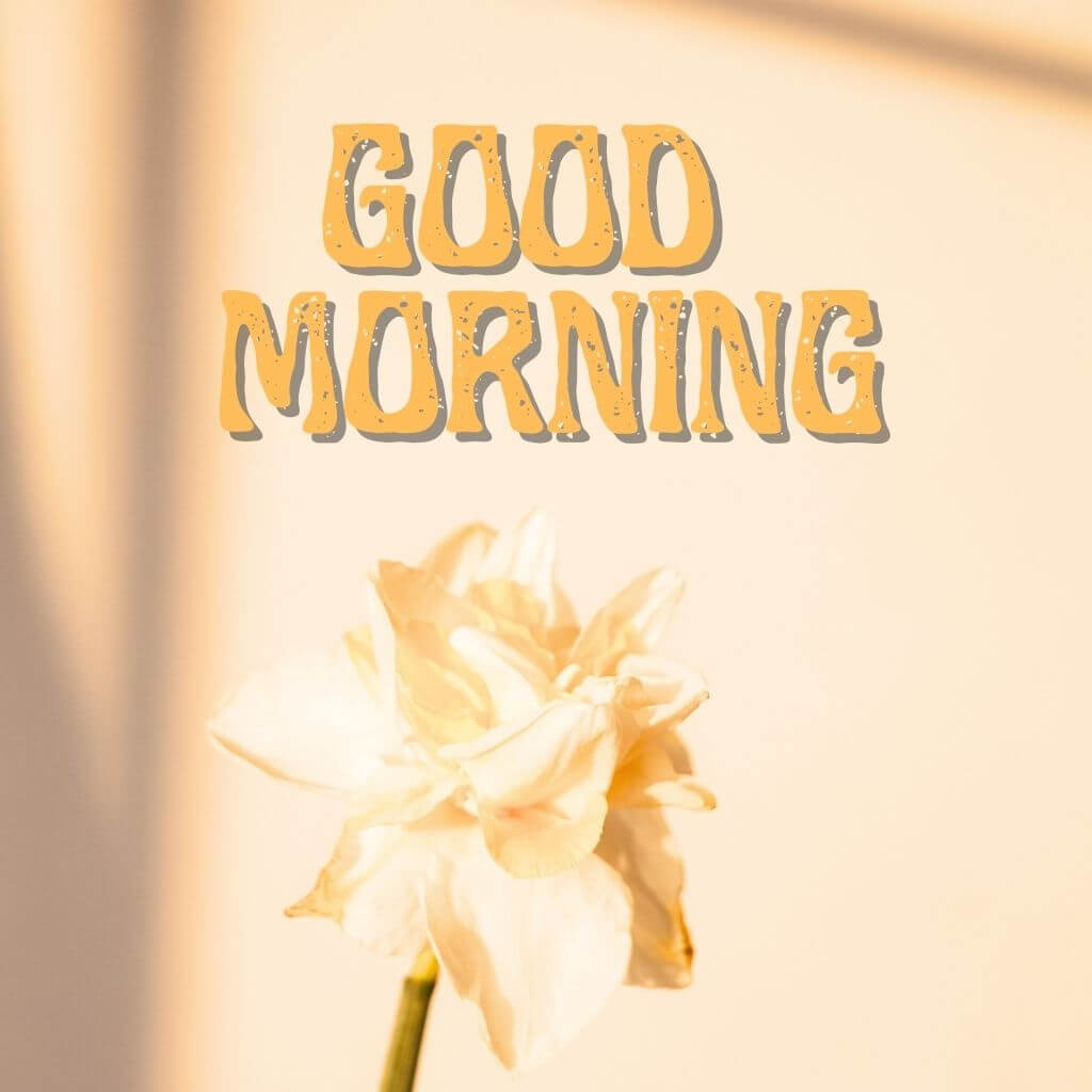 good morning have a blessed day Wallpaper Pics Free
