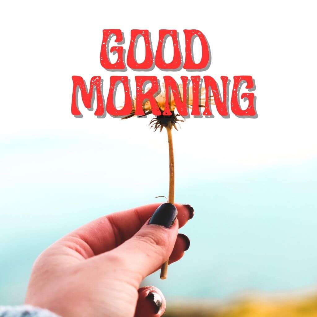 good morning have a blessed day Wallpaper Pics New Download for Facebook (2)