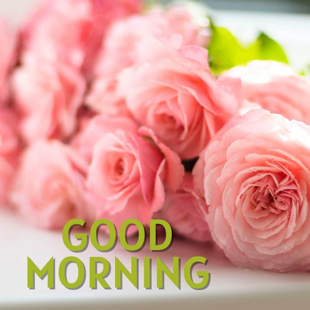 good morning have a blessed day Wallpaper Pics