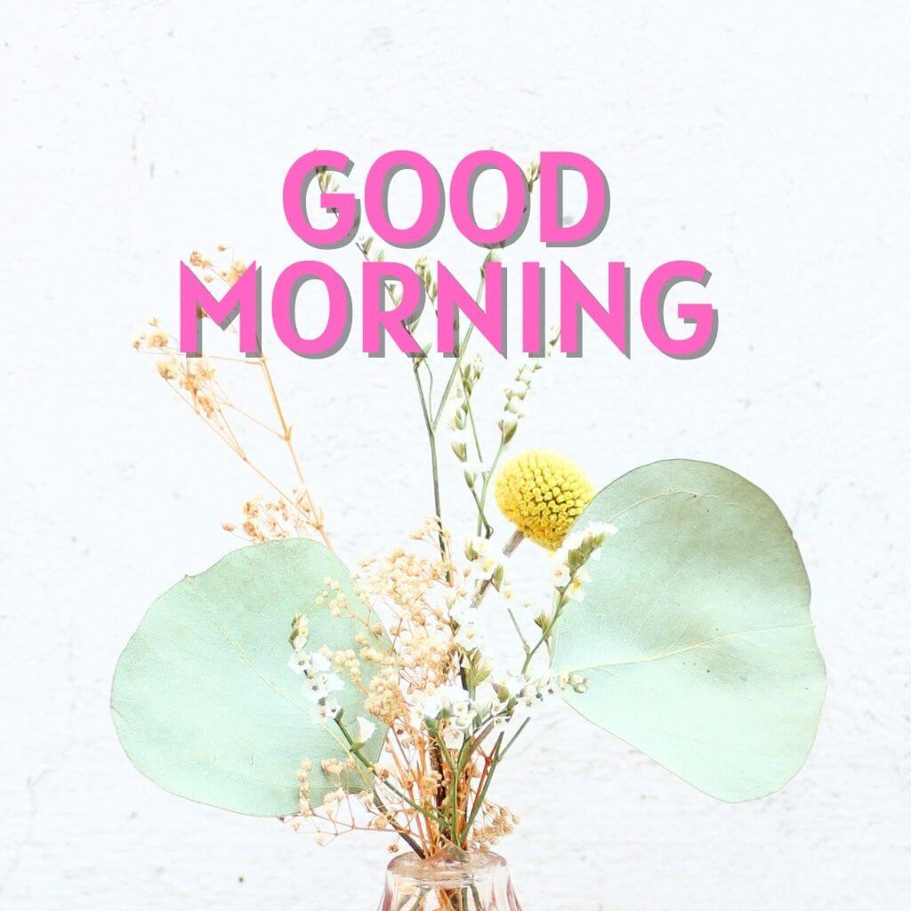 good morning have a blessed day photo New Download