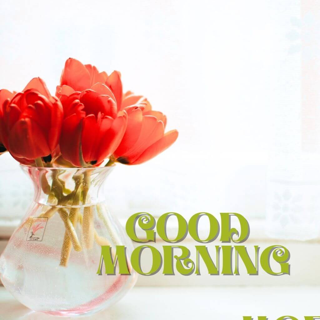 good morning have a blessed day pics New Download