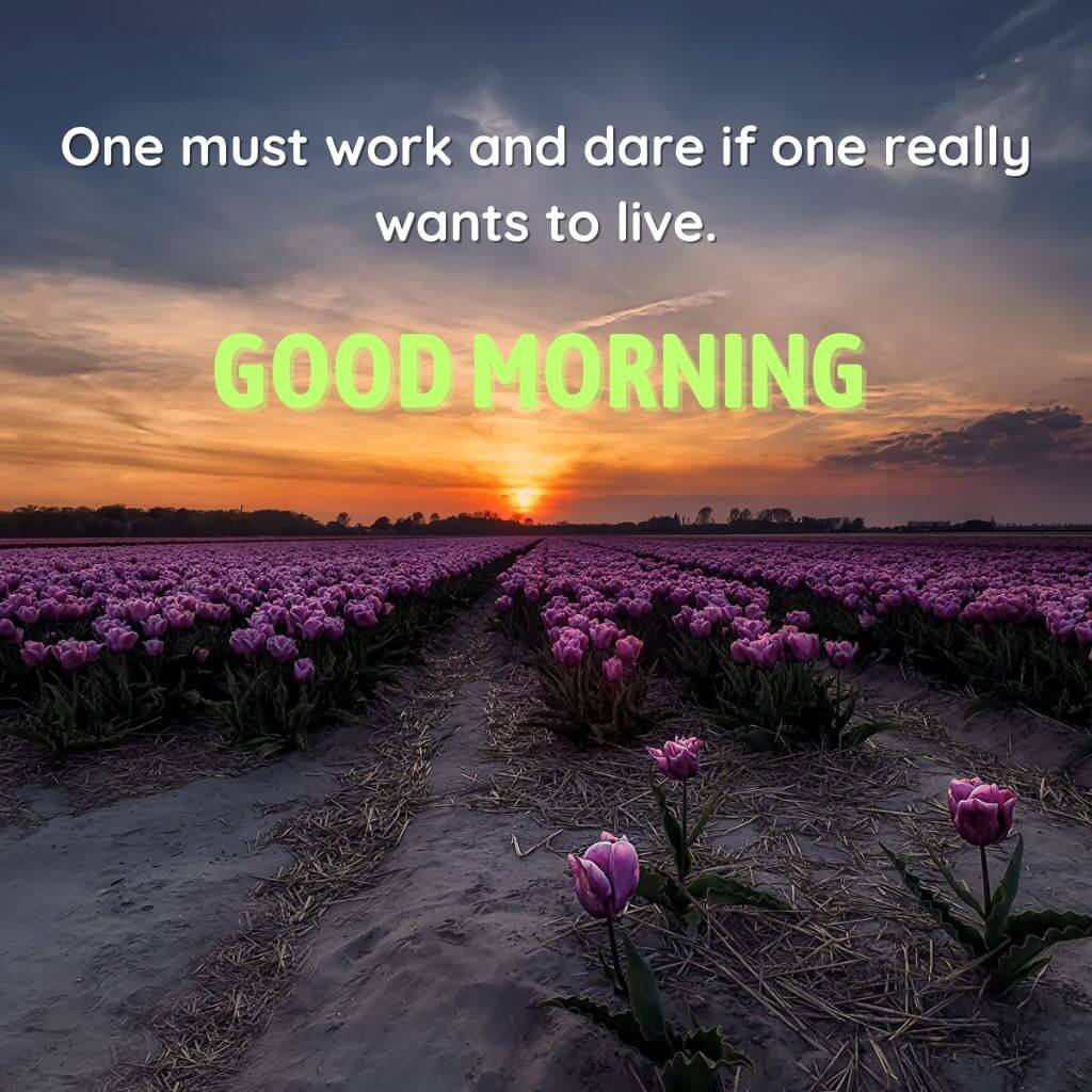good morning inspirational photo New Download for WhatsApp & Download 