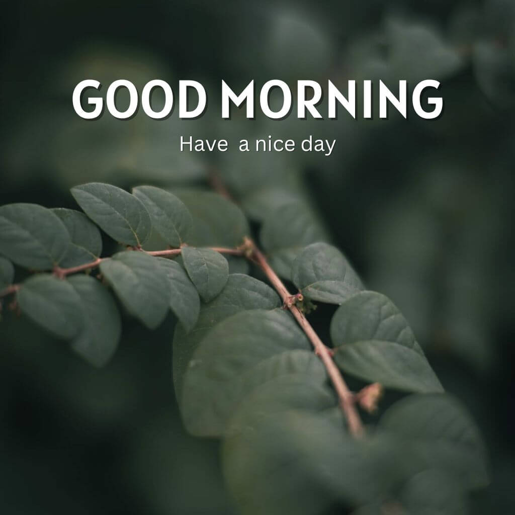 good morning ki photo New Download