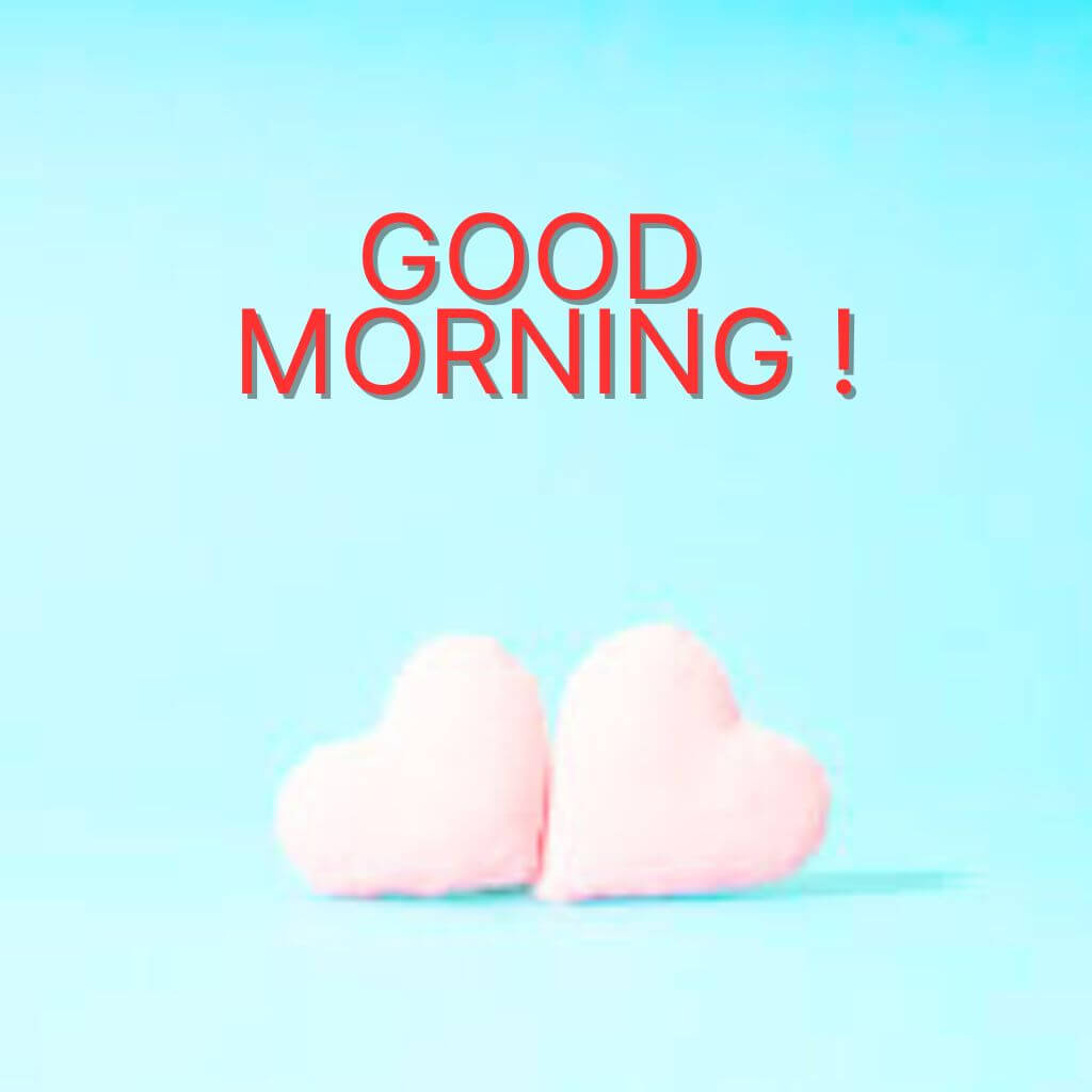 good morning my love Wallpaper free Images Photo hd Download 