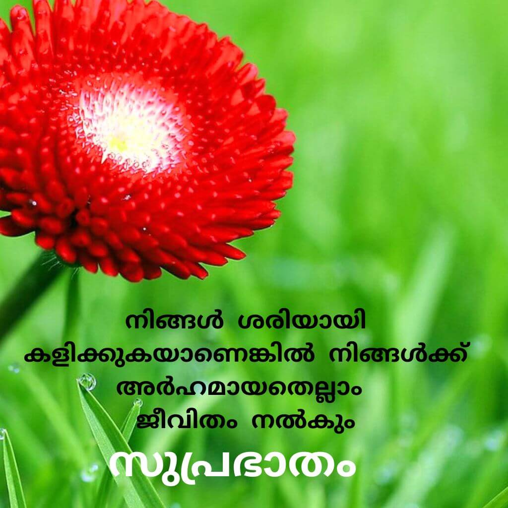 good morning quotes malayalam Images Wallpaper Free 