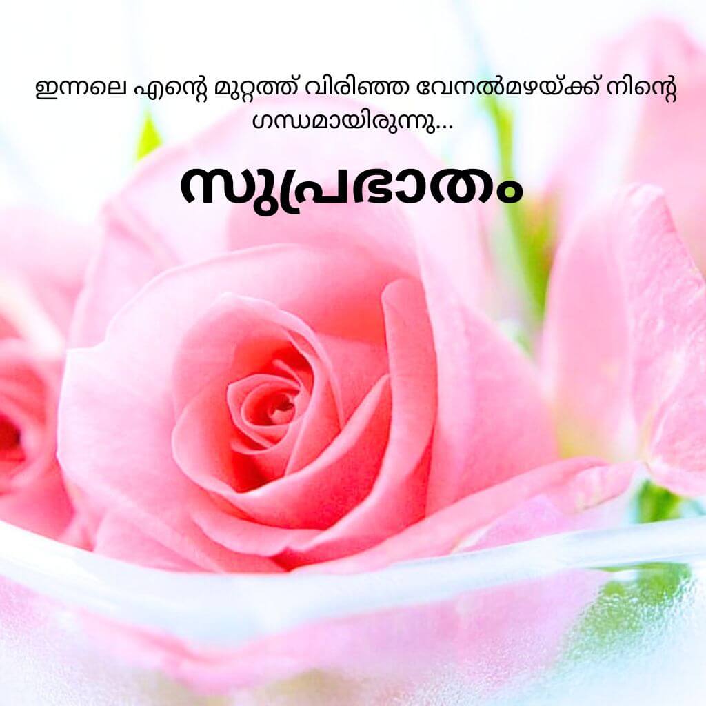 good morning quotes malayalam Pics Images Wallpaper New Download 