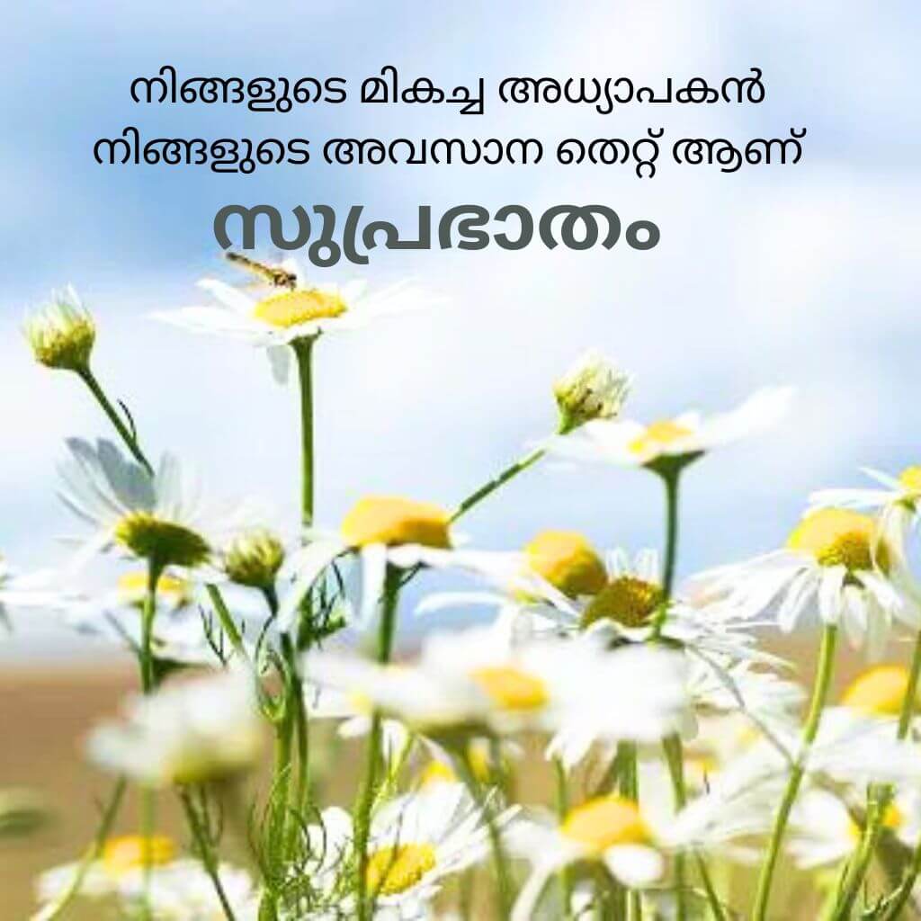 good morning quotes malayalam Pics New Download