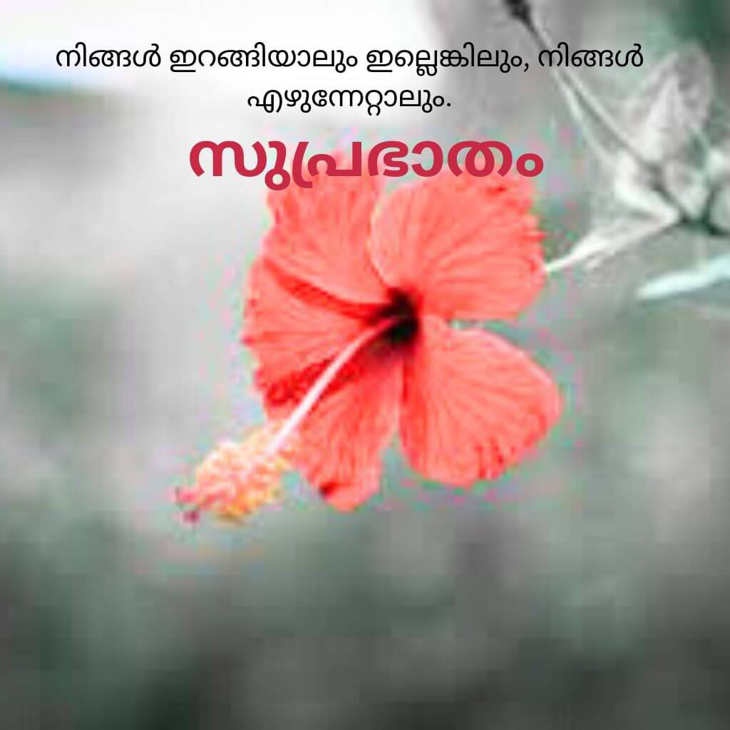 good morning quotes malayalam Pics Wallpaper for Facebook