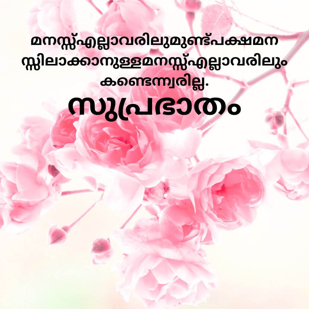 good morning quotes malayalam Wallpaper Photo New Download