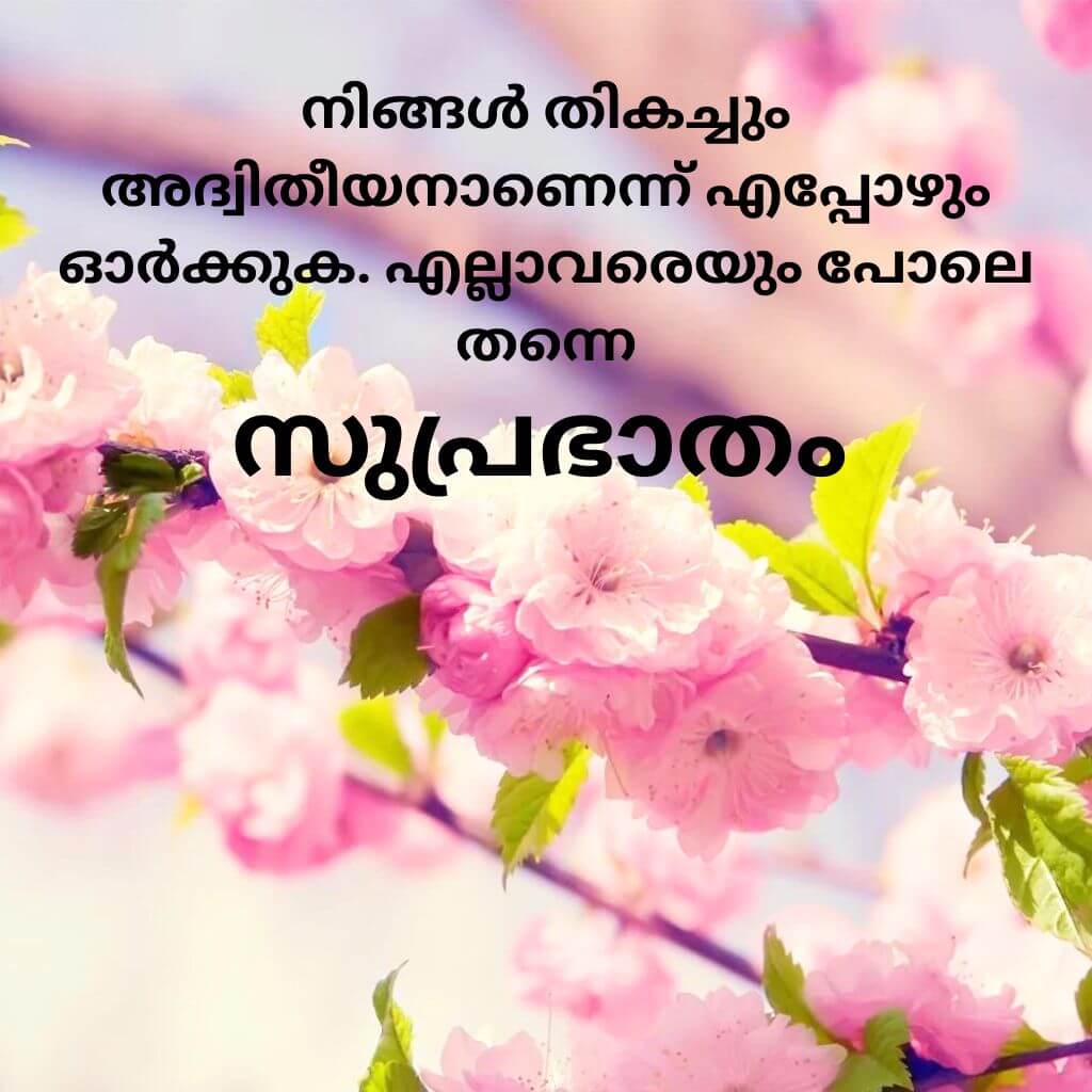 good morning quotes malayalam Wallpaper Pics New Download 2023 (2)