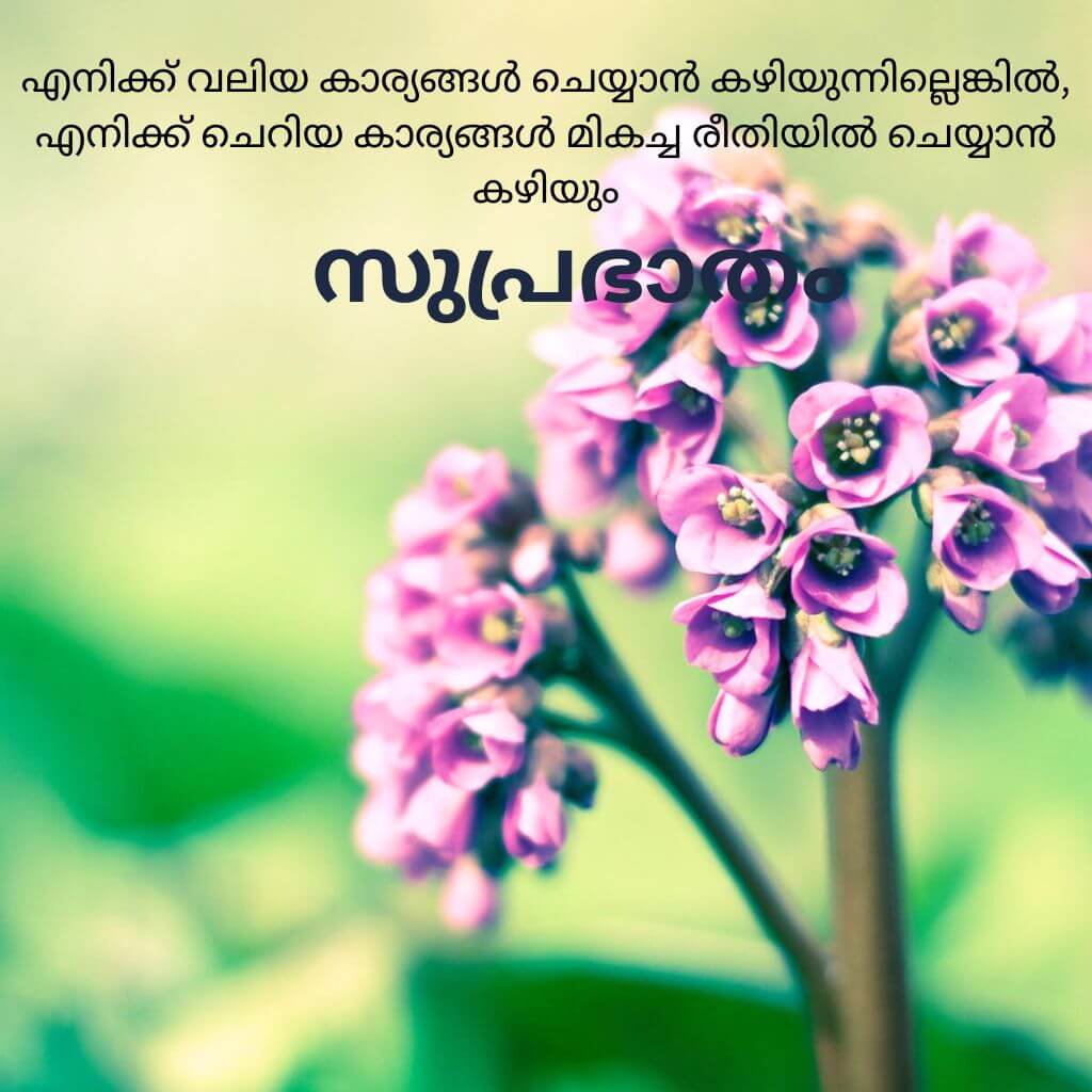 good morning quotes malayalam Wallpaper Pics New Download 2023