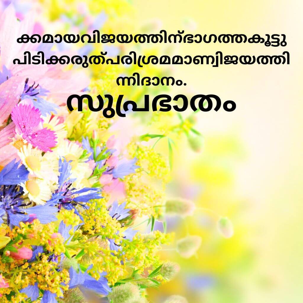 good morning quotes malayalam Wallpaper Pics Pictures Download