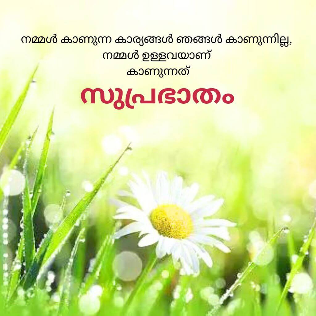 good morning quotes malayalam Wallpaper Pics new Download (2)