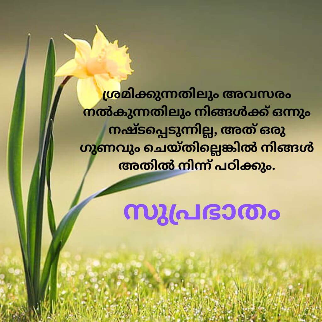 good morning quotes malayalam Wallpaper pic for Facebook