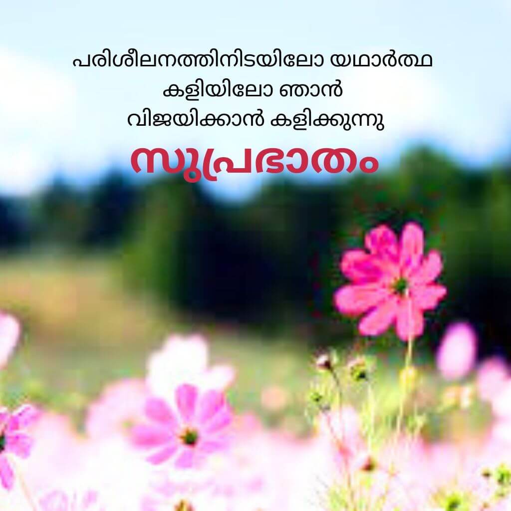 good morning quotes malayalam Images Wallpaper photo for Facebook