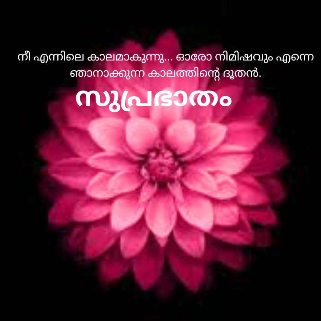 good morning quotes malayalam pics Images Wallpaper Free 