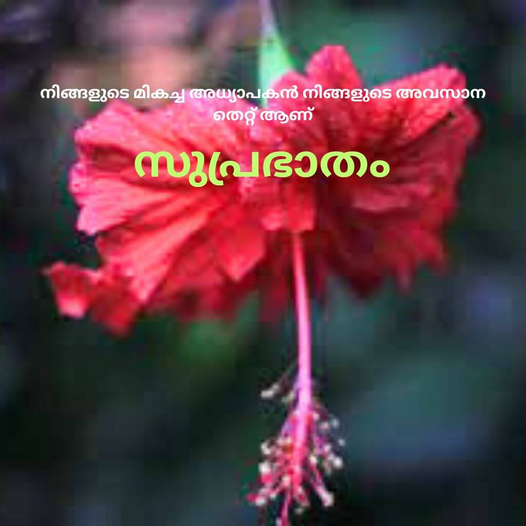 good morning quotes malayalam pics Images Wallpaper Free New Download 