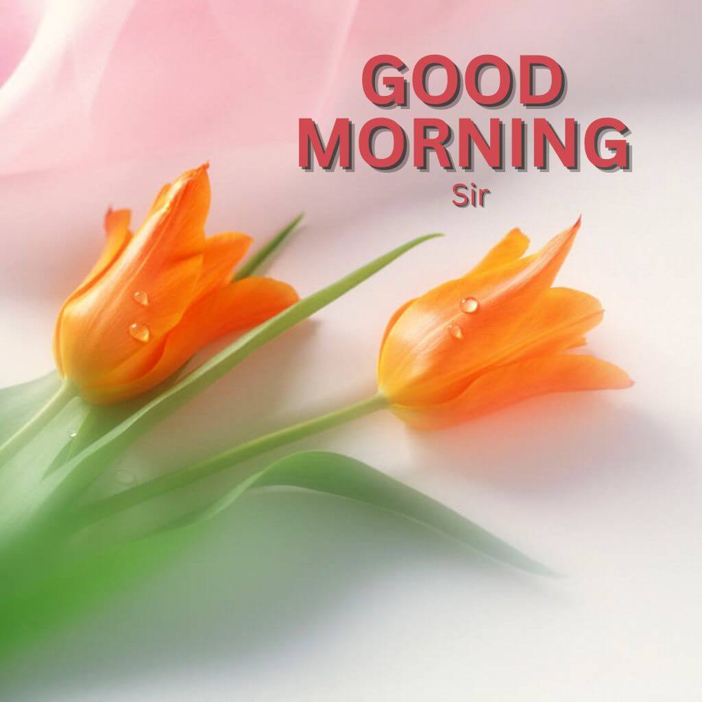 good morning sir Wallpaper Pics Pictures HD