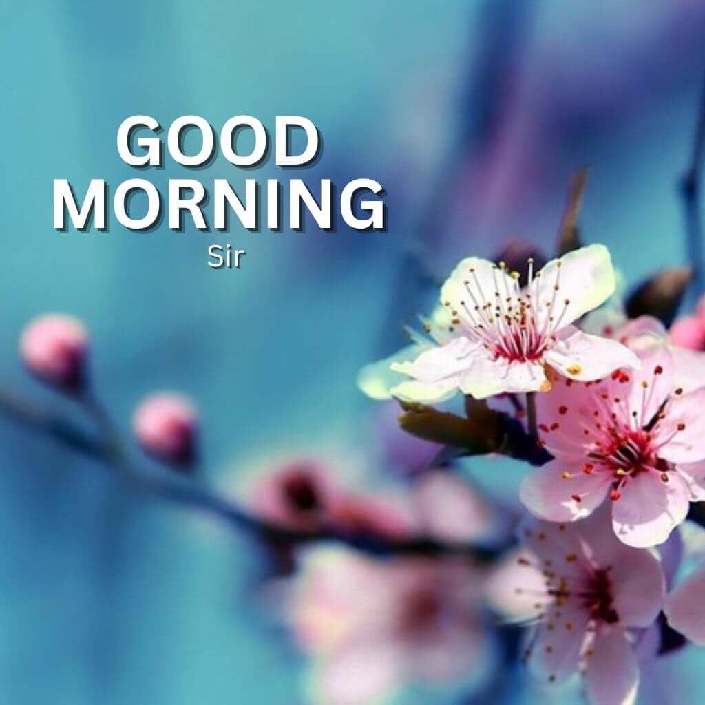 good morning sir Wallpaper Pics New Download for Friend 2023