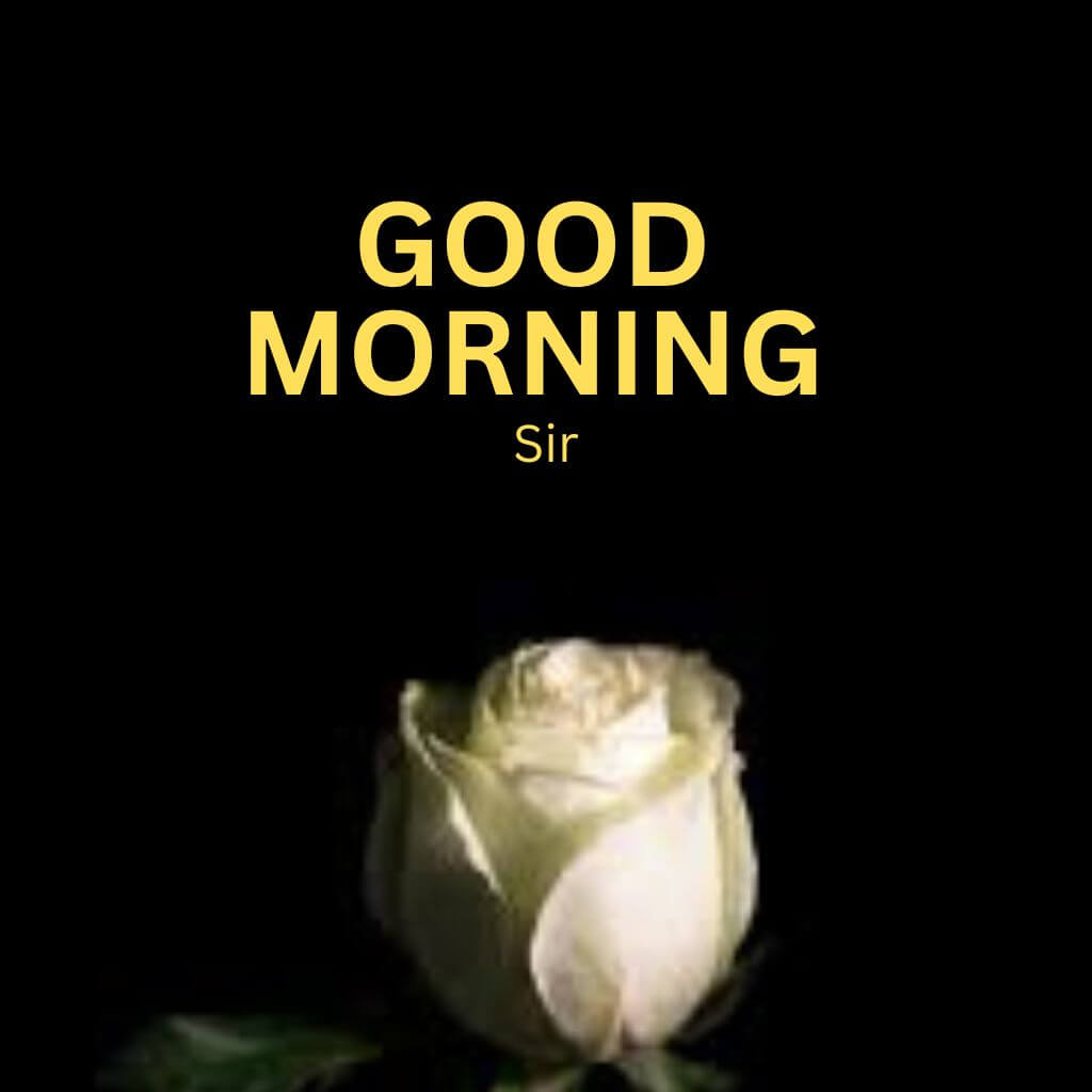 good morning sir photo Wallpaper Pics New Download for Whatsapp 