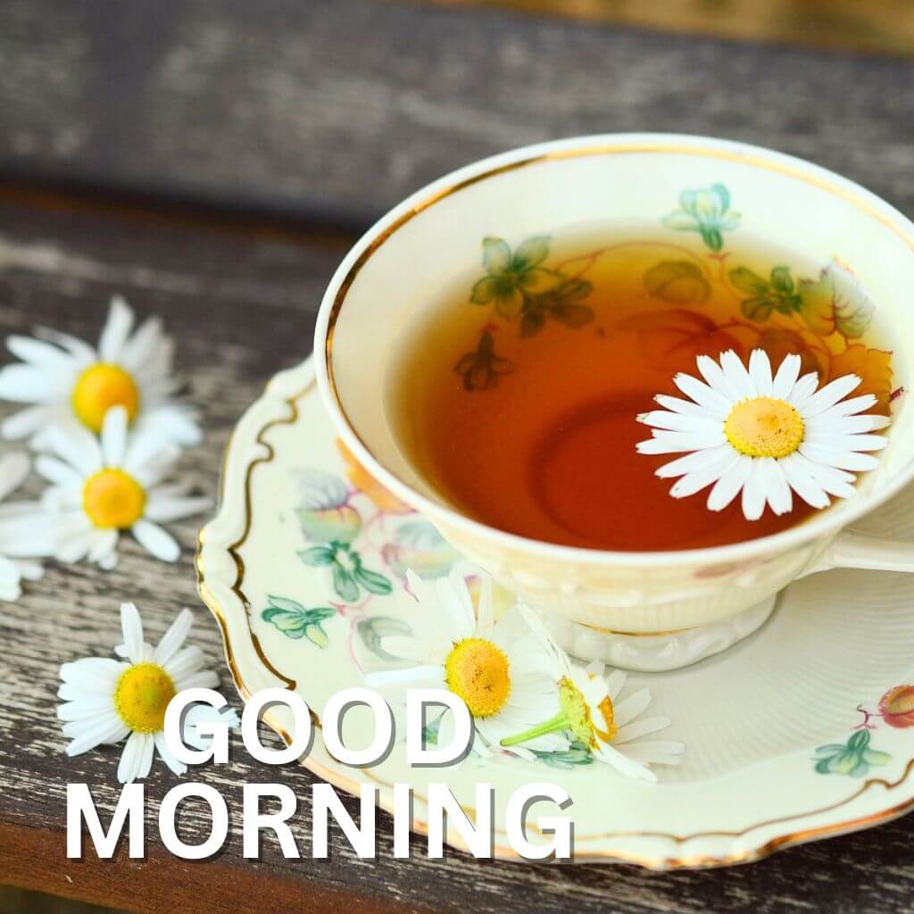 good morning tea Wallpaper pics Free Download