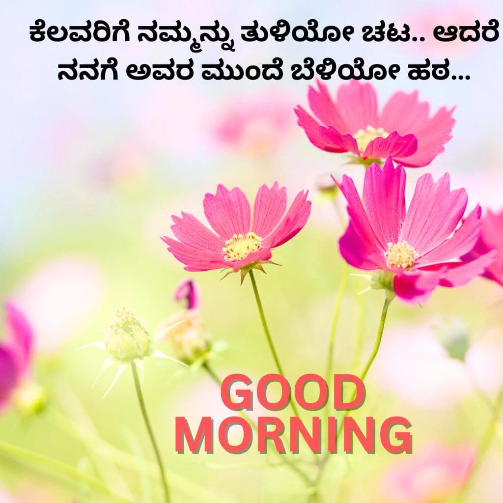 kannada Quotes Good Morning Pics Images Download