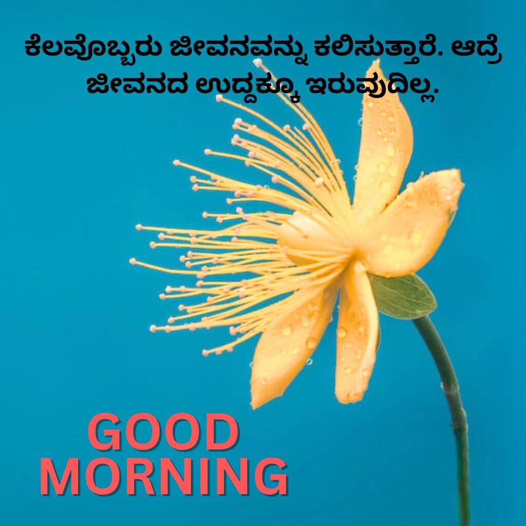 kannada Quotes Good Morning Pics Wallpaper Free Download