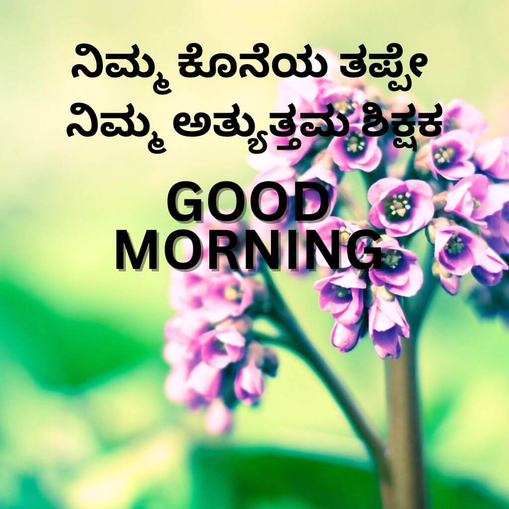 kannada Quotes Good Morning Wallpaper Pics Images Download 202