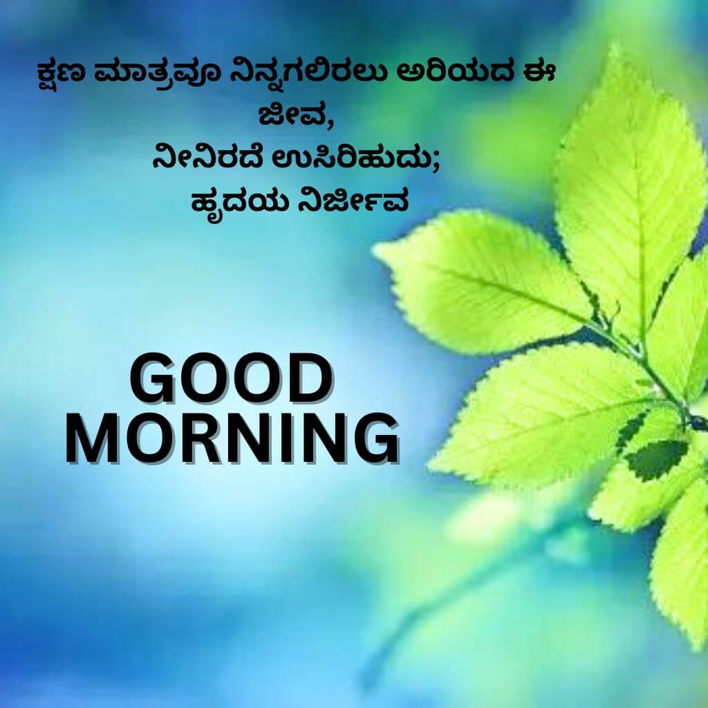 kannada Quotes Good Morning Wallpaper Pics Images Download