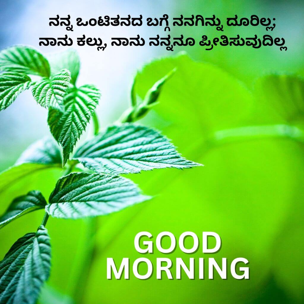 kannada Quotes Good Morning Wallpaper Pics New Download