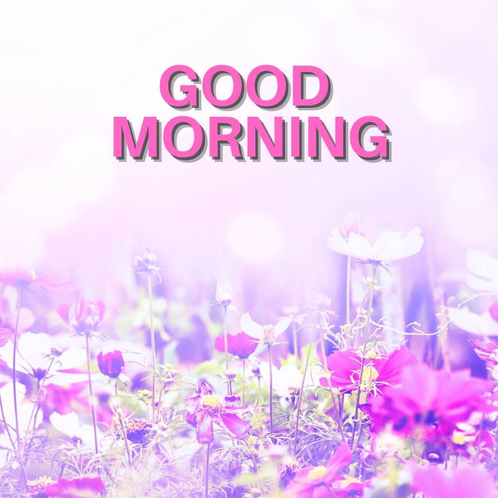 latest good morning Photo Images Wallpaper New Download