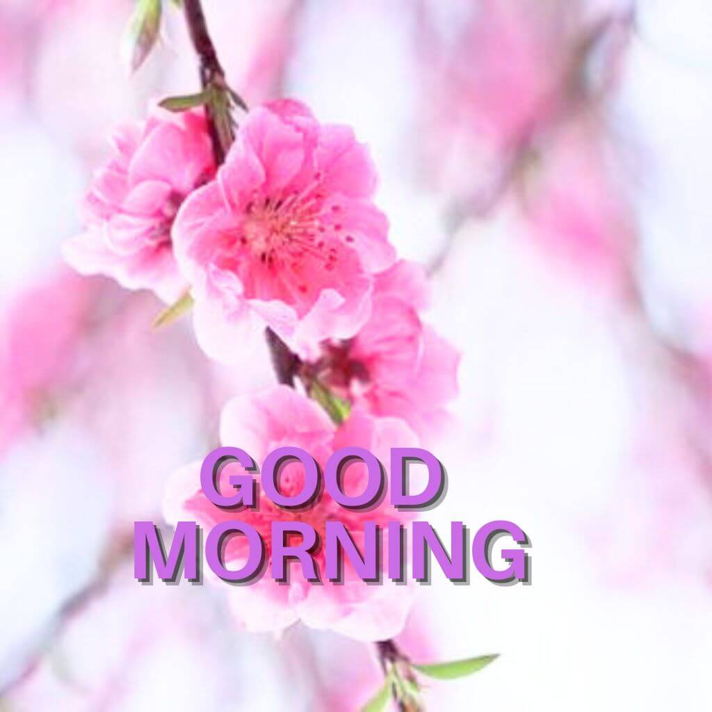 latest good morning Wallapper Download
