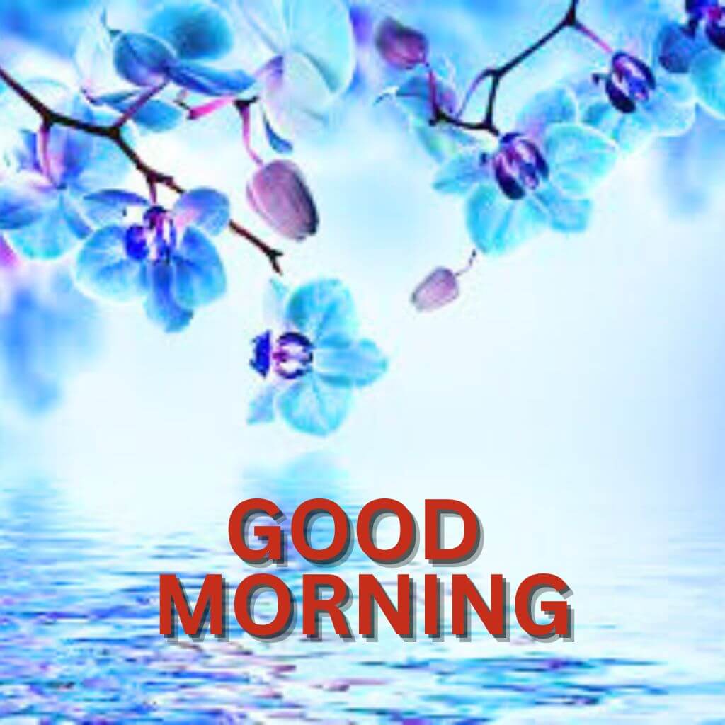 latest good morning Wallpaper Pics New Download for Friend
