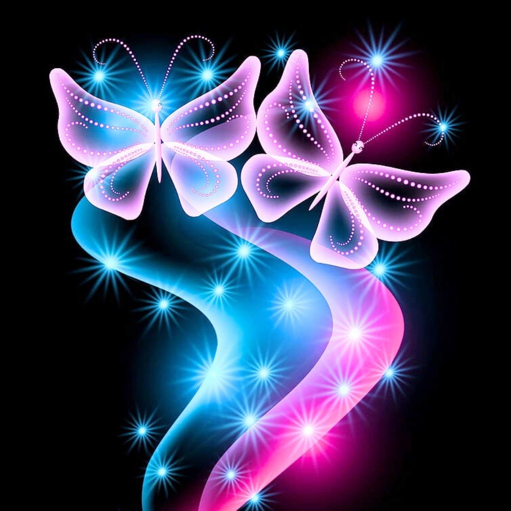 Butterfly attractive whatsapp dp Images free