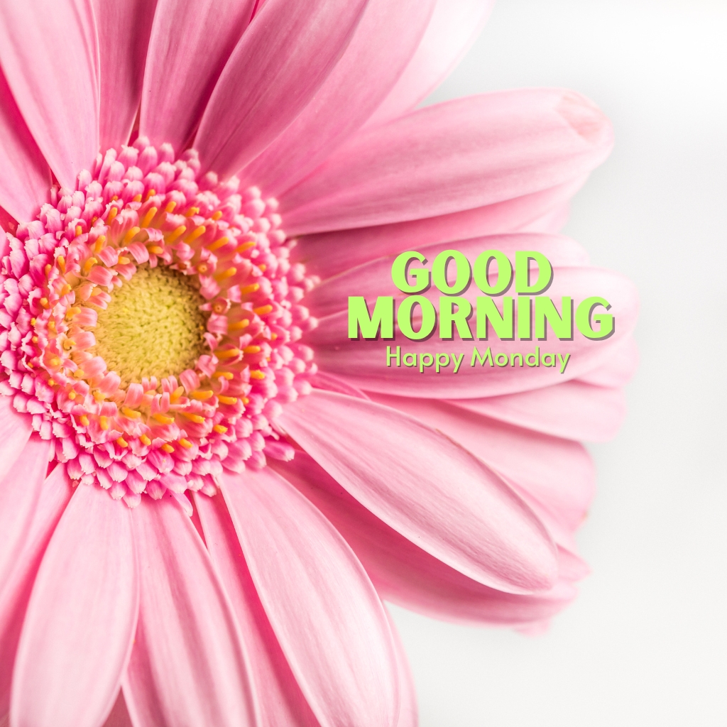 Full Screen Monday Good Morning Images photo Download