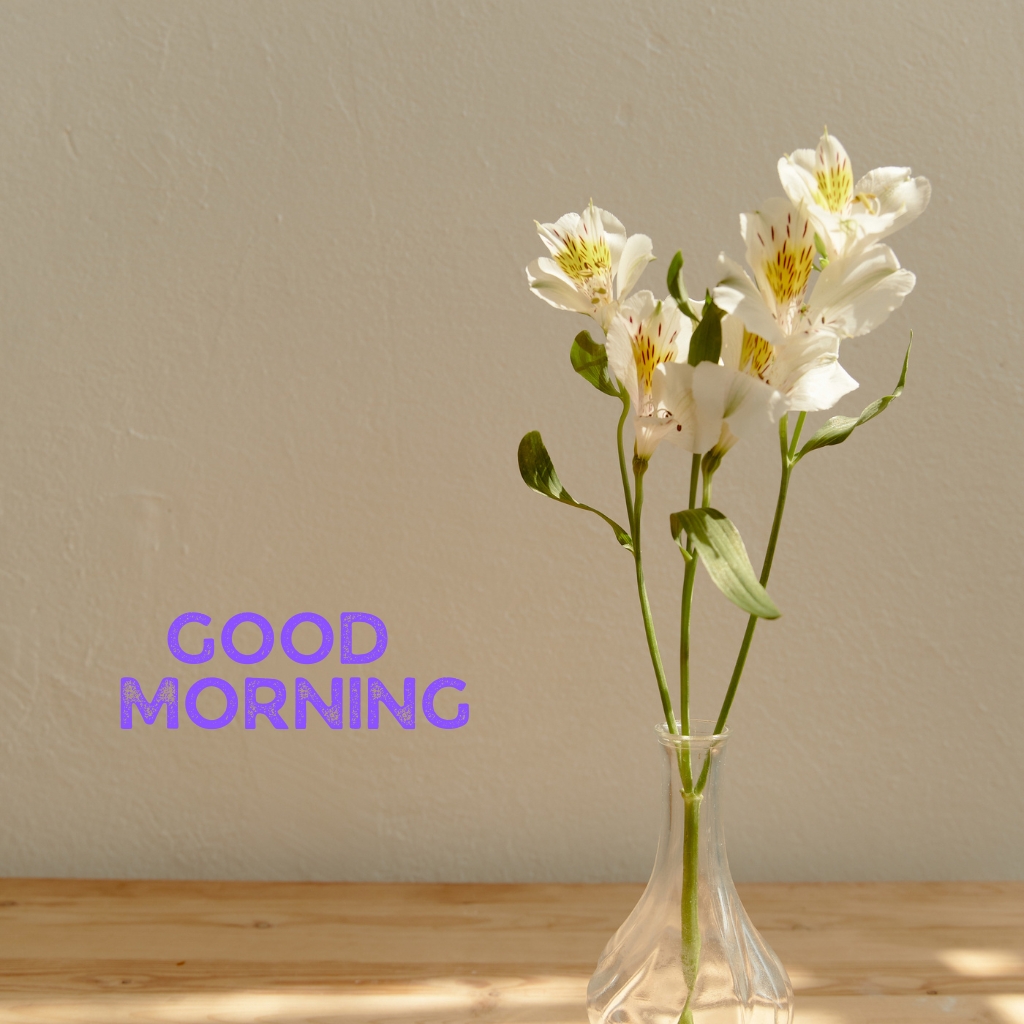 Good Morning I Love You Wallpaper for Download