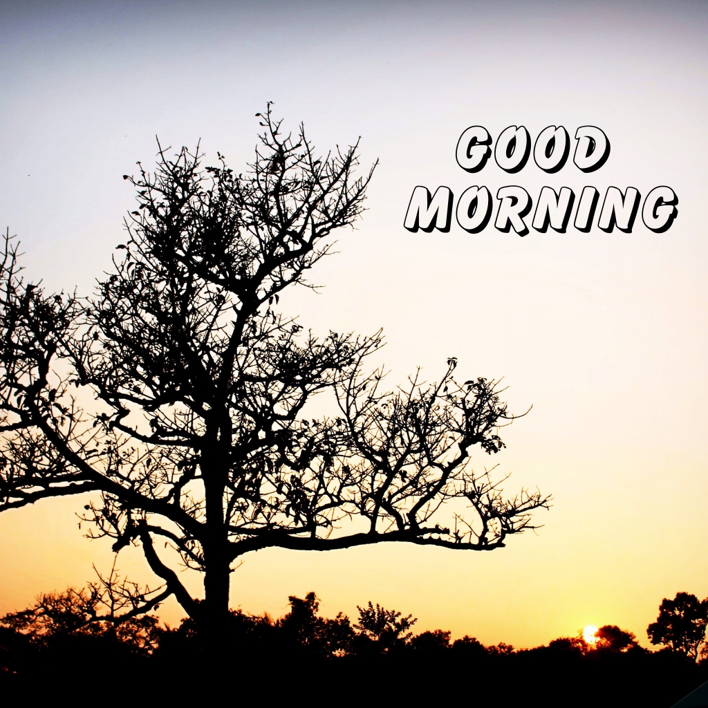 Good Morning Nature Pics Images Download