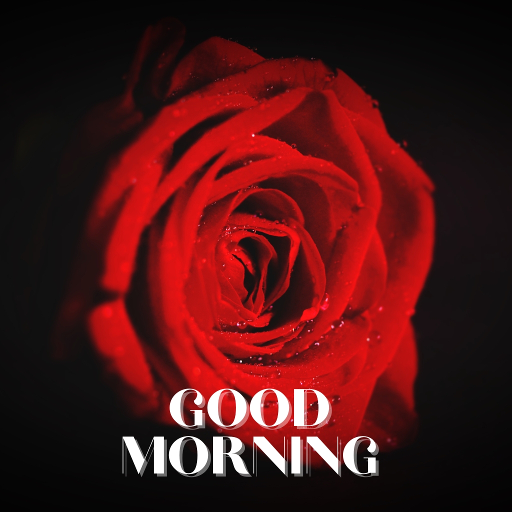Good Morning Romantic Wallpaper Pics Images for Whatsapp